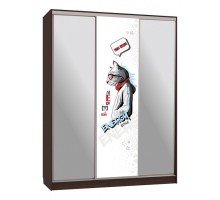 Шкаф-купе Бассо 9-600 энерджи