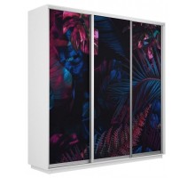 Шкаф-купе Экспресс Фото трио 1004 2400x600x2400