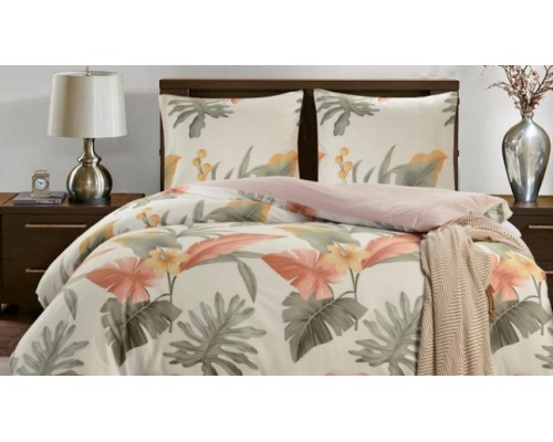 Постельное белье евростандарт CL-364