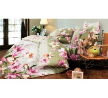 Постельное белье евростандарт A-124