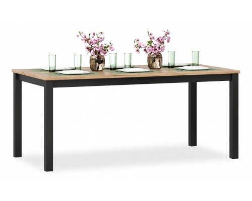 Стол обеденный Техно ЛД 678.040.000